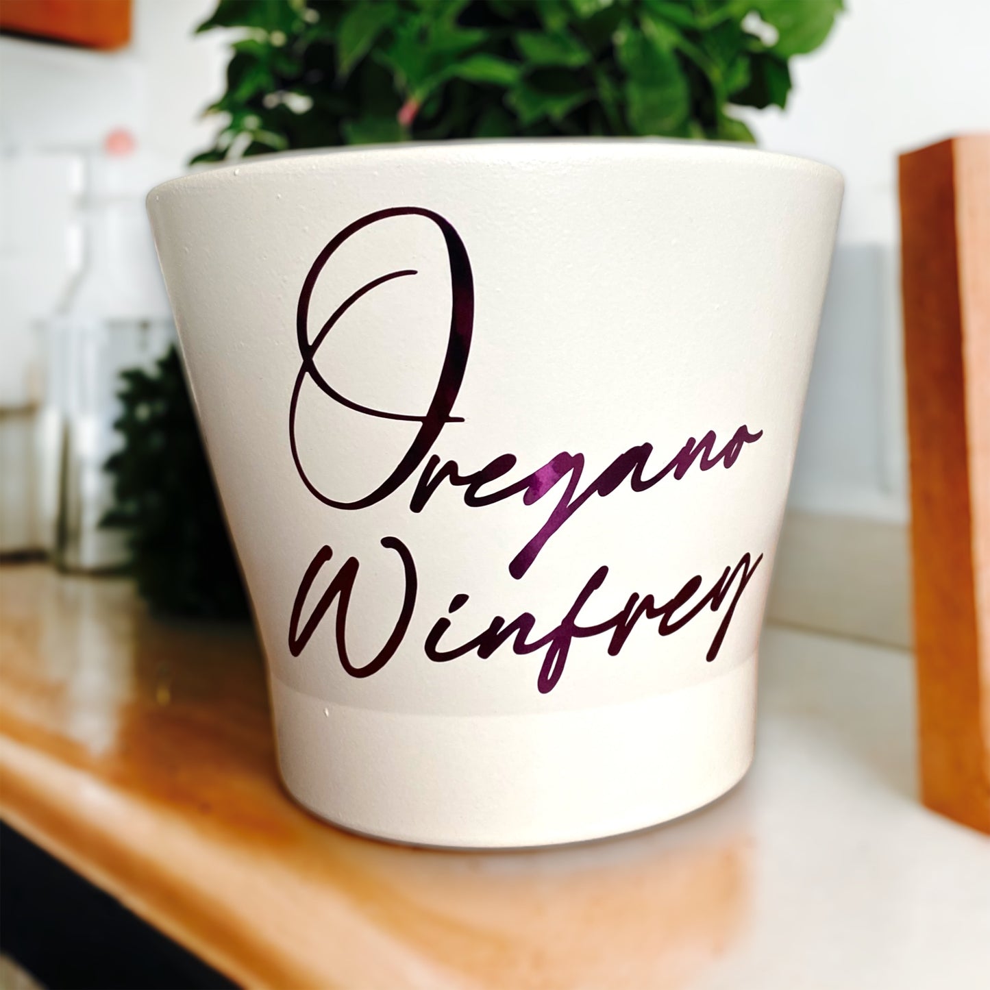 Iconic Women in History Planter Pots